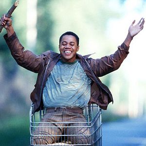 Bilder Michael Tollin