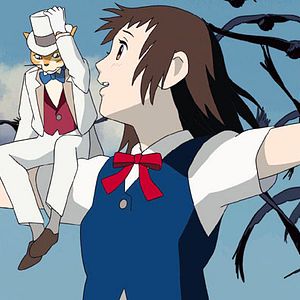 Bilder Das Königreich der Katzen