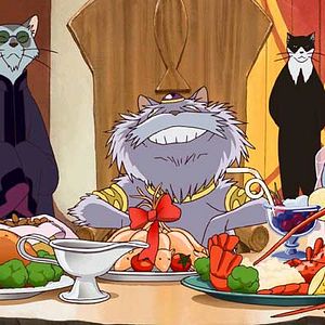 Bilder Das Königreich der Katzen