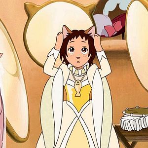 Bilder Das Königreich der Katzen