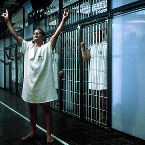 Bilder Das Experiment