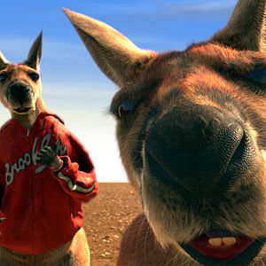 Bilder Kangaroo Jack