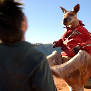 Bilder Kangaroo Jack