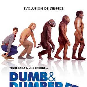 Bilder Dumm und Dümmerer