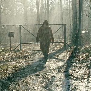 Bilder Josiane Balasko