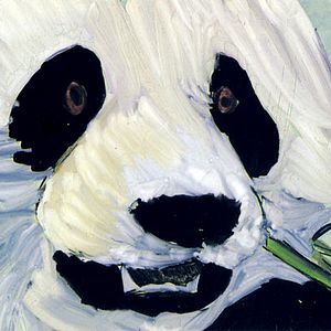 Bilder Lucinda Clutterbuck