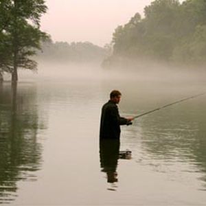 Bilder Big Fish - Der Zauber, der ein Leben zur Legende macht