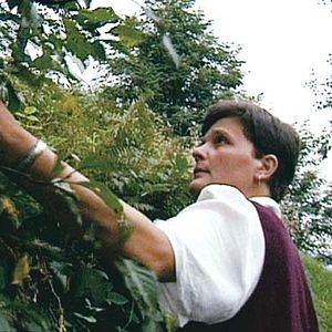 Bilder Laurent Bécue-Renard