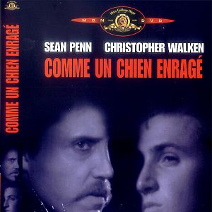 Bilder Auf kurze Distanz