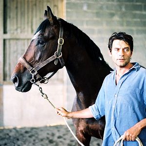 Bilder Mister V. - Pferd ohne Reiter