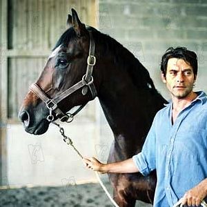 Bilder Mister V. - Pferd ohne Reiter