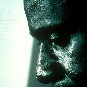 Bilder Dominique Standaert