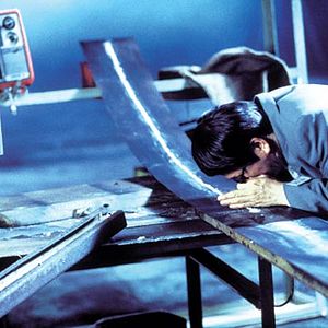 Bilder Dead or Alive