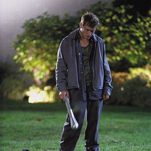 Bilder Butterfly Effect