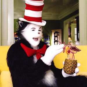 Bilder Ein Kater macht Theater