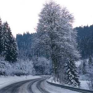 Bilder Vincent Dieutre