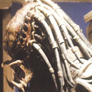 Bilder Predator 2