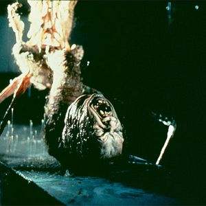 Bilder Das Ding aus einer anderen Welt