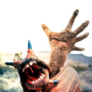 Bilder Im Land der Raketenwürmer