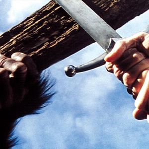 Bilder The Living World