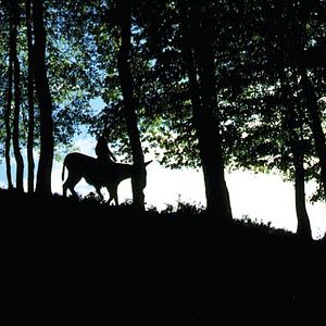 Bilder The Living World