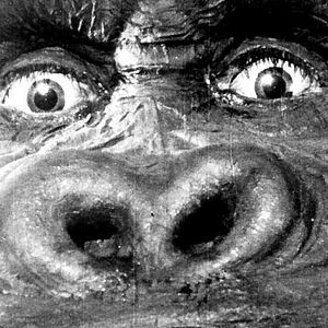 Bilder Ernest B. Schoedsack