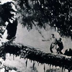 Bilder Merian C. Cooper