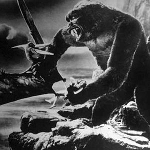 Bilder Merian C. Cooper