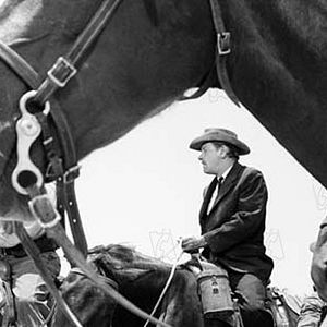 Bilder The Wild Bunch