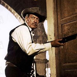 Bilder The Wild Bunch