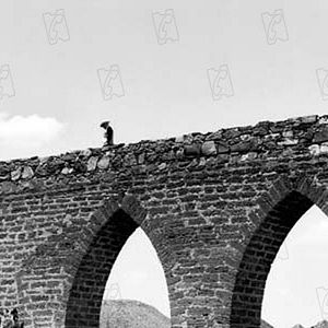 Bilder The Wild Bunch