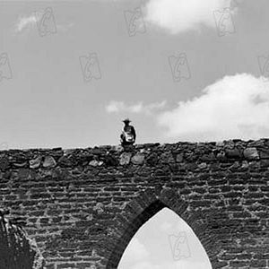 Bilder The Wild Bunch