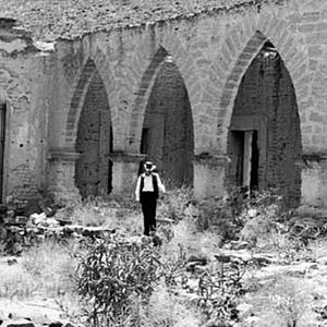 Bilder The Wild Bunch