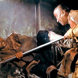 Bilder Das Schwert der gelben Tigerin