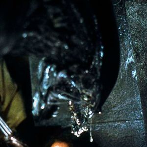 Bilder Paul W.S. Anderson