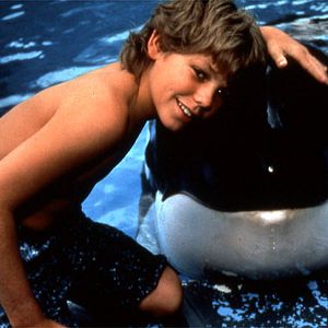 Bilder Free Willy - Ruf der Freiheit