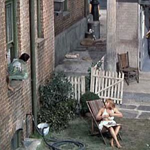 Bilder Das Fenster zum Hof