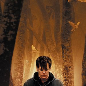 Bilder Nicole Kassell