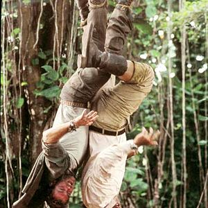 Bilder Welcome To The Jungle