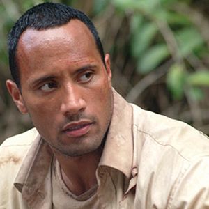 Bilder Welcome To The Jungle