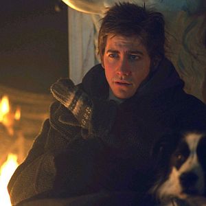 Bilder Jake Gyllenhaal