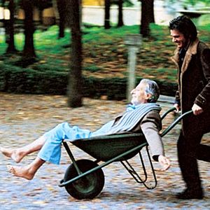 Bilder Oltre il confine