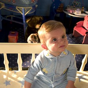 Bilder Lawrence Guterman