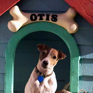 Bilder Lawrence Guterman