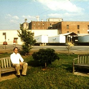 Bilder Bright Leaves