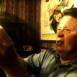 Bilder Bright Leaves