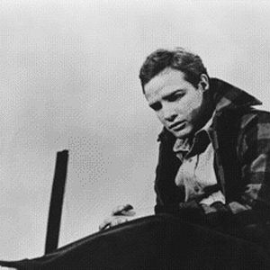 Bilder Die Faust im Nacken