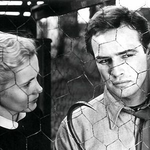 Bilder Eva Marie Saint