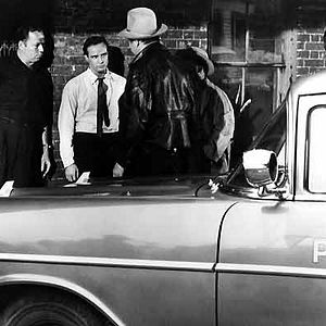 Bilder Der Mann in der Schlangenhaut