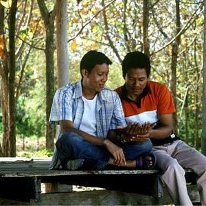 Bilder Tropical Malady